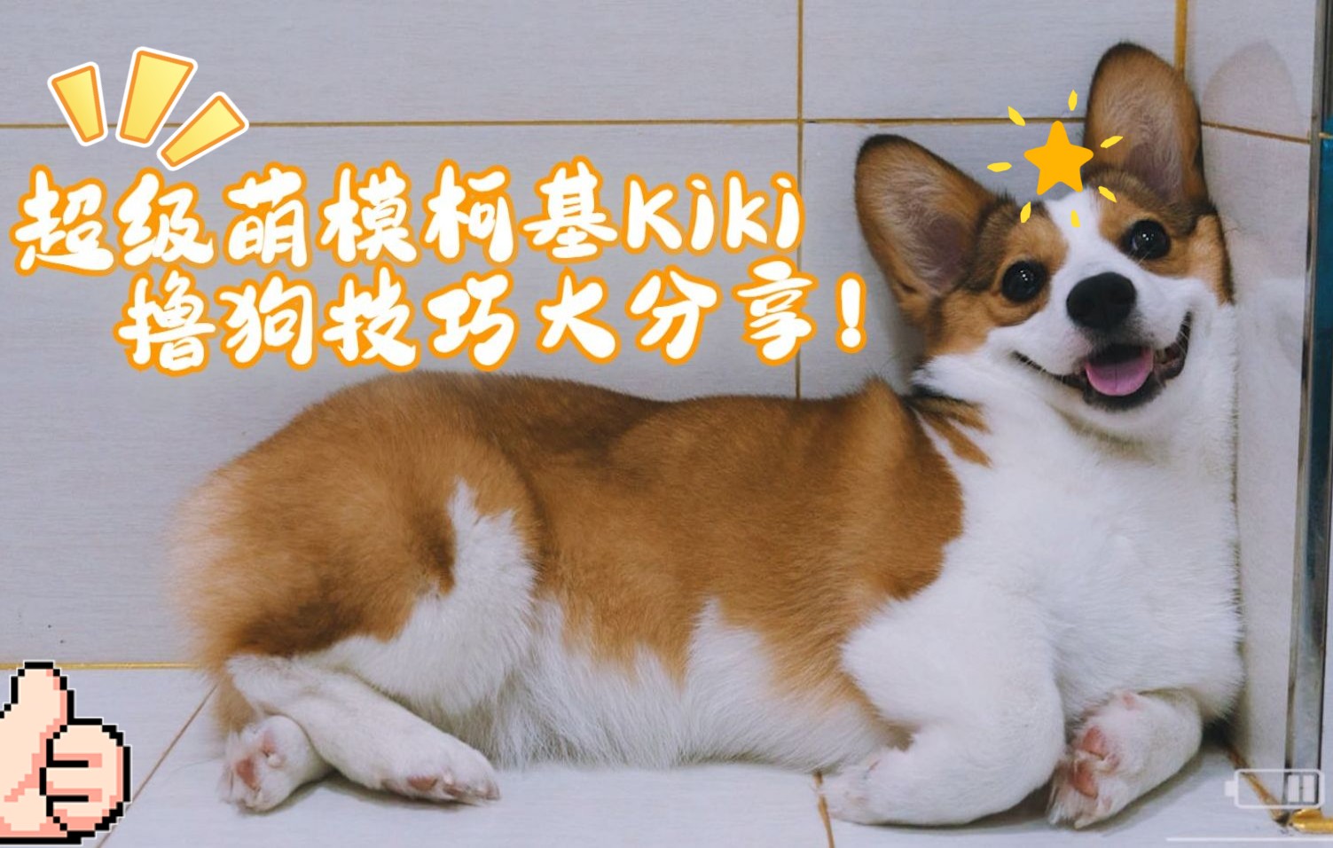 [图]【Single Dog】我和我亲爱的狗子