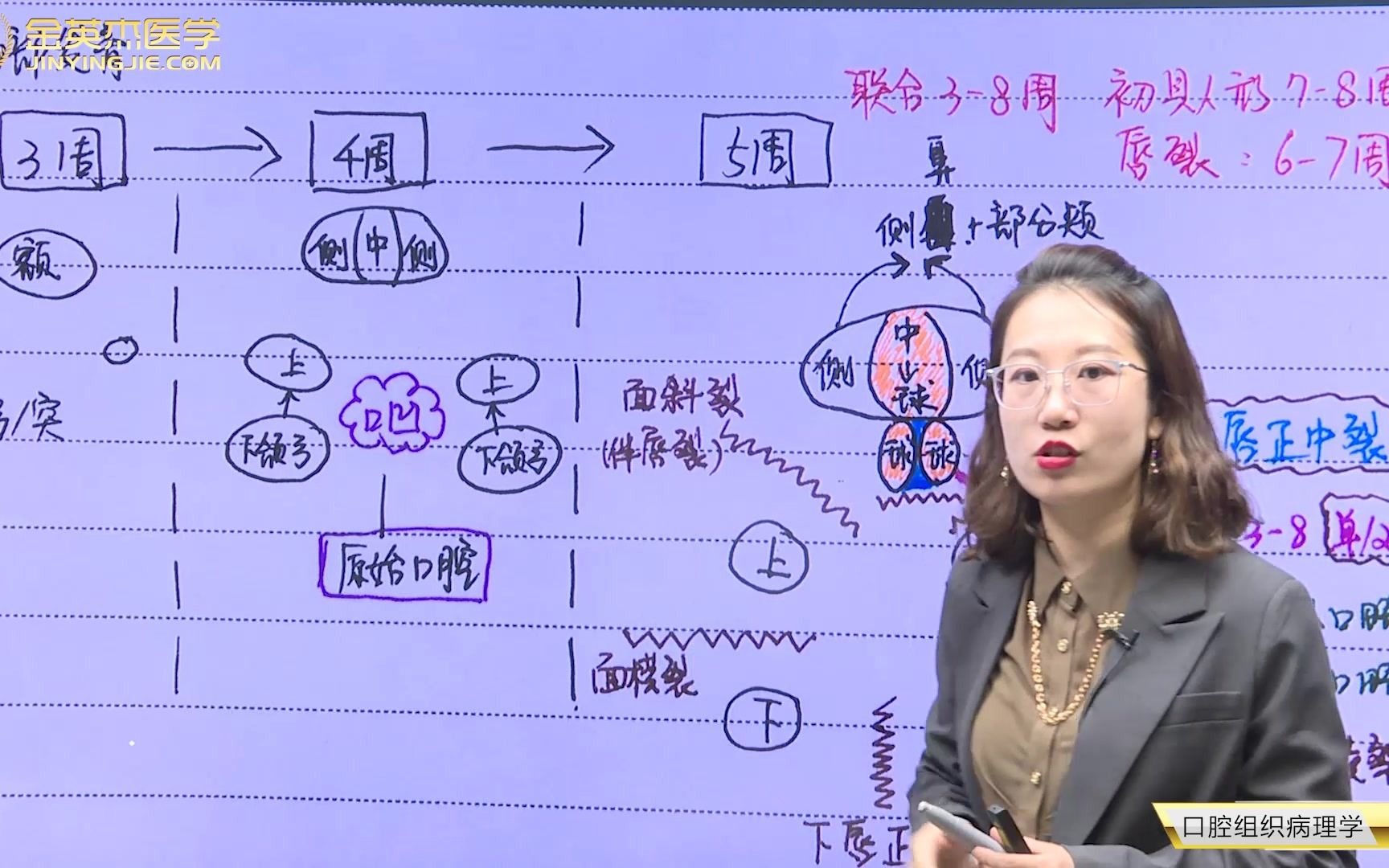 [图]2021口腔同步金题-助理-第1章 口腔组织病理学