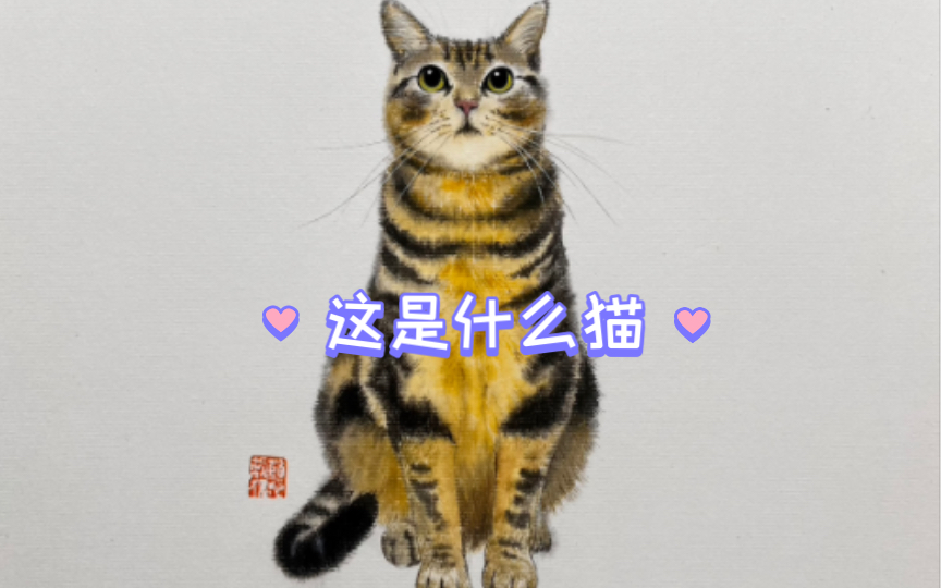 这是什么猫?国画猫咪的画法(粉丝家的猫咪)哔哩哔哩bilibili