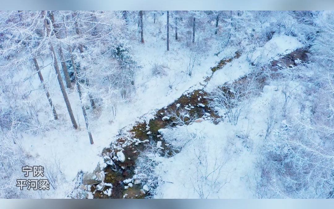 [图]宁陕 漫山风雪