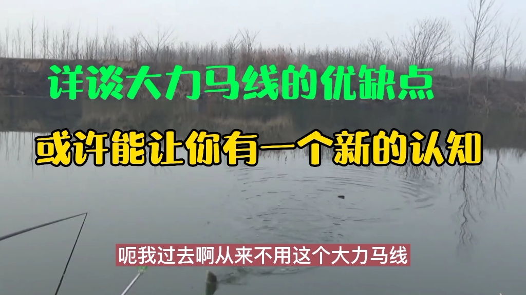 咱们详细了解一下大力马线的优缺点 ,或许能让你有一个新的认知 !哔哩哔哩bilibili