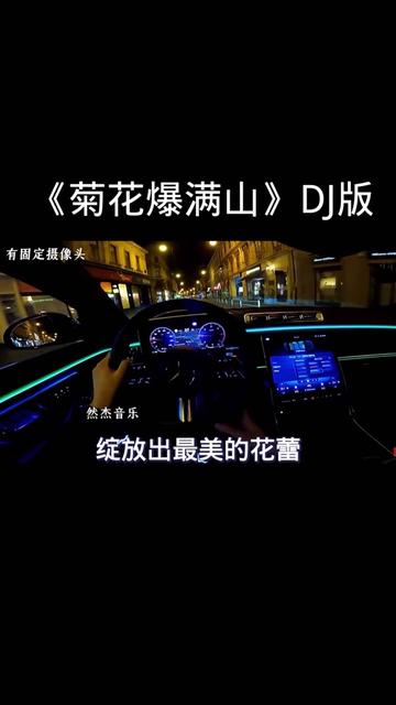菊花爆满山 #dj#音乐 #经典老歌