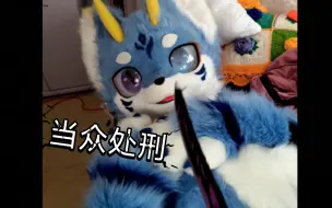 Download Video: 诶嘿嘿~~刀只兽兽家人们~~直接绝育！