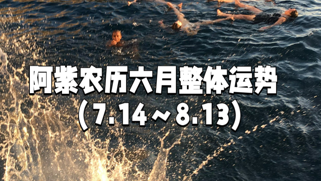 阿紫农历六月整体运势（7.14～8.13）