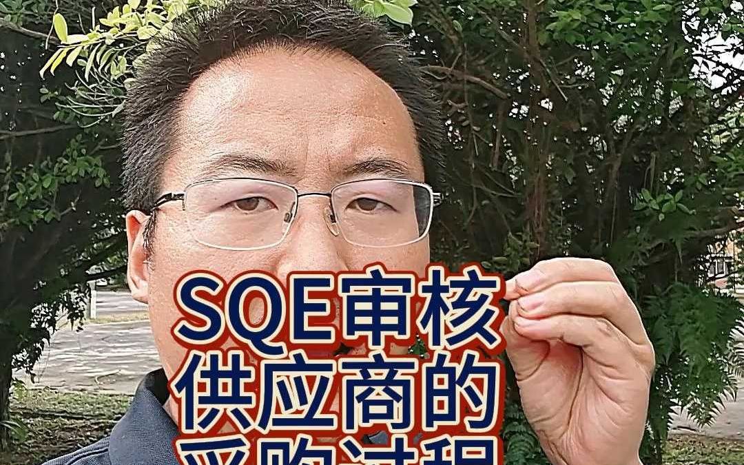 SQE审核供应商的采购过程的30个要点哔哩哔哩bilibili