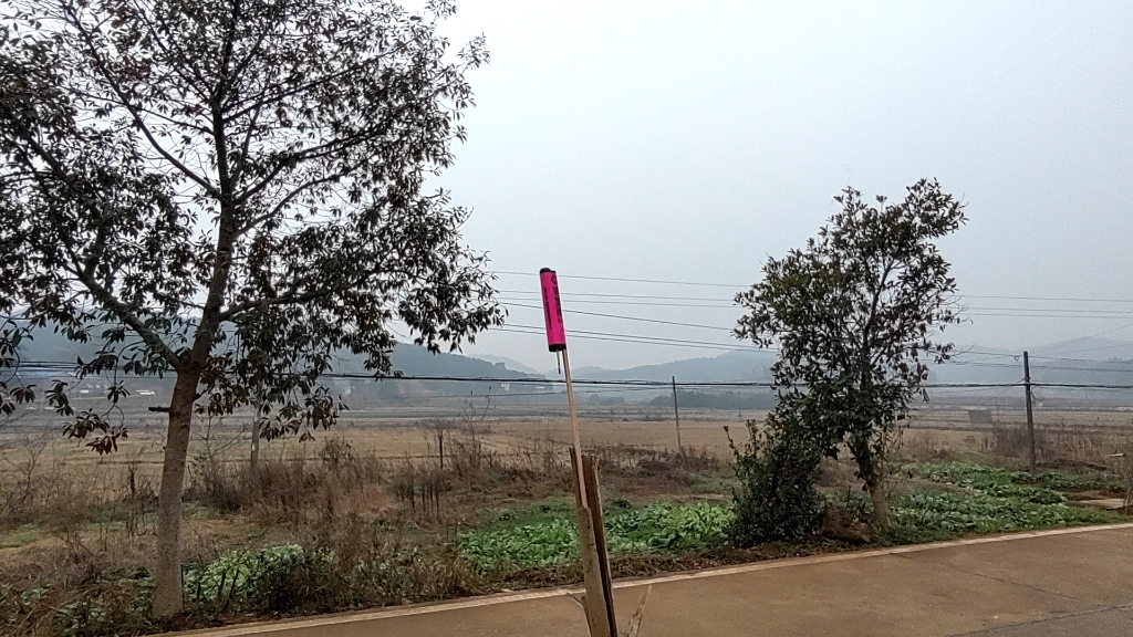 人间大炮,发射!