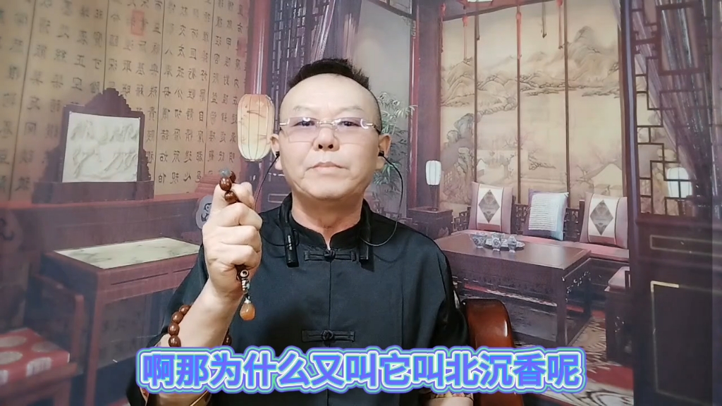 什么是琥珀木也叫北沉香看完作品就知道了哔哩哔哩bilibili