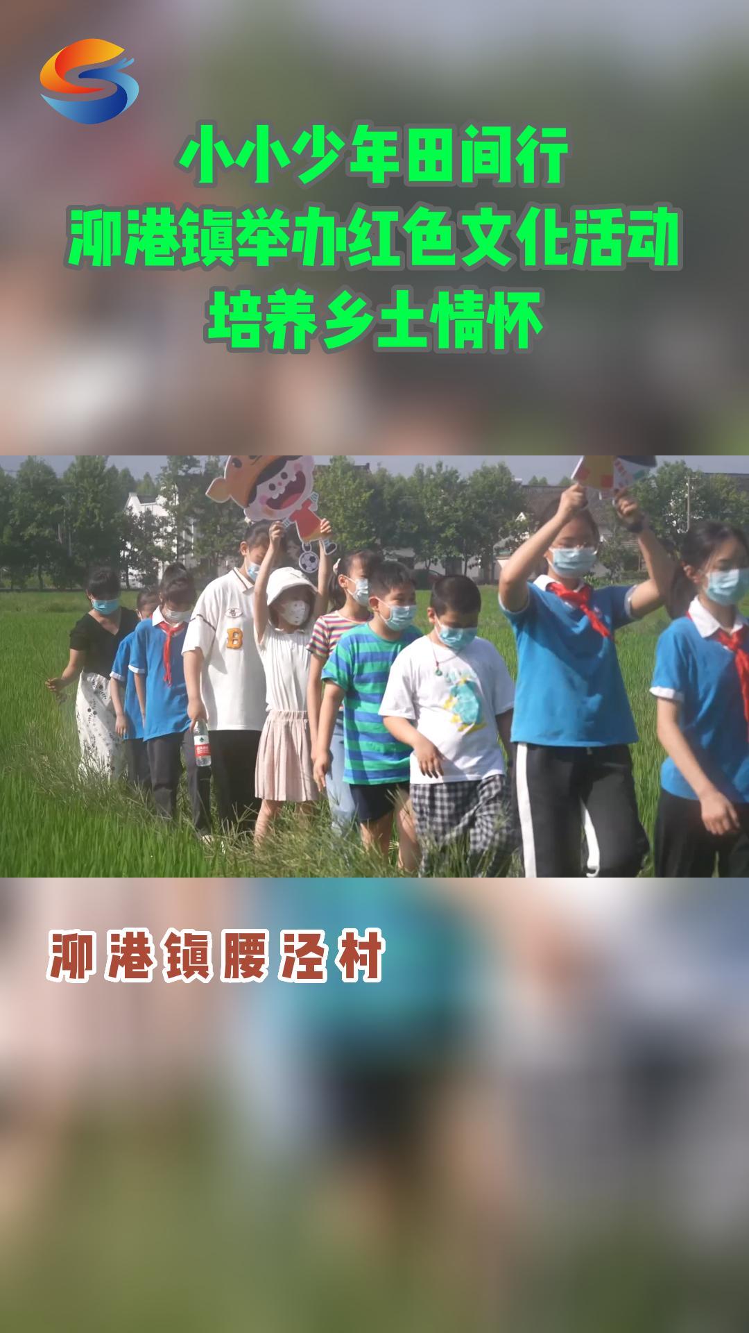 [图]小小少年田间行，泖港镇举办红色文化活动培养乡土情怀