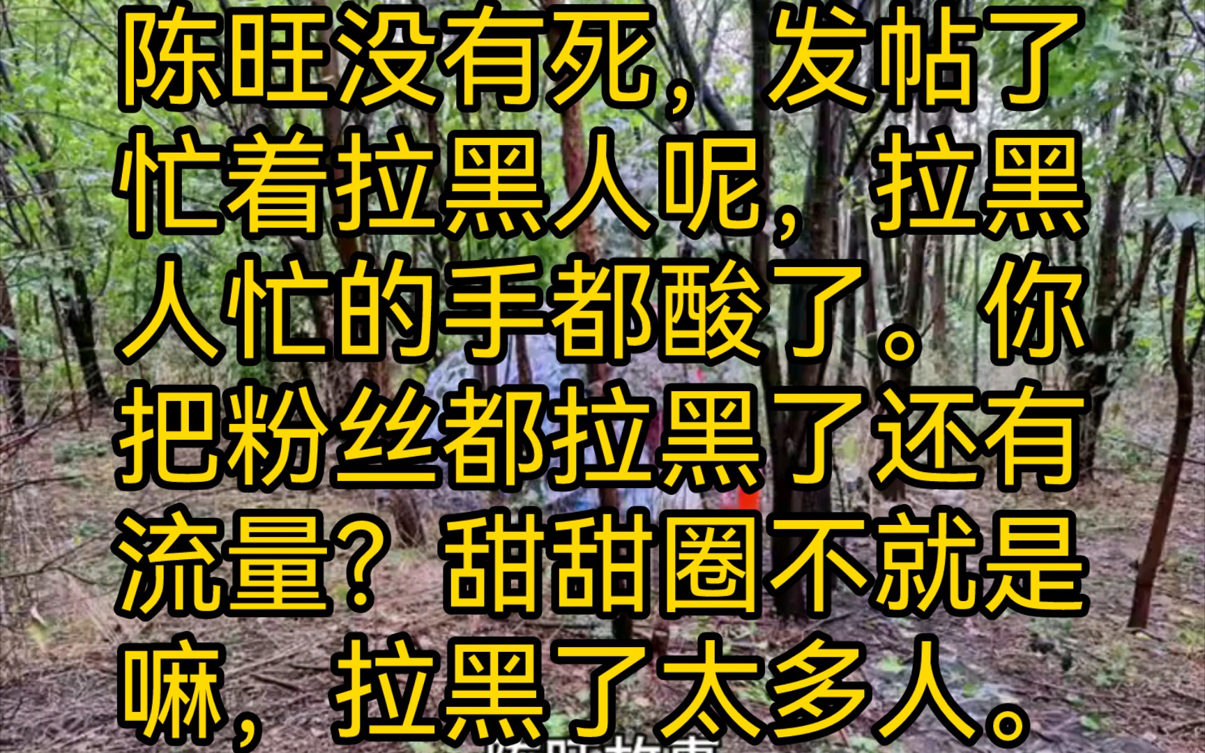 陈旺41陈旺没有死,发帖了忙着拉黑人呢,拉黑人忙的手都酸了.你把粉丝都拉黑了还有流量?甜甜圈不就是嘛,拉黑了太多人没人看了都.哔哩哔哩bilibili