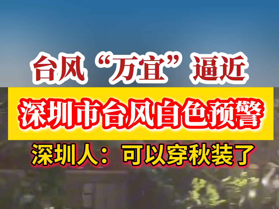 台风万宜逼近!深圳市台风白色预警信号生效!哔哩哔哩bilibili