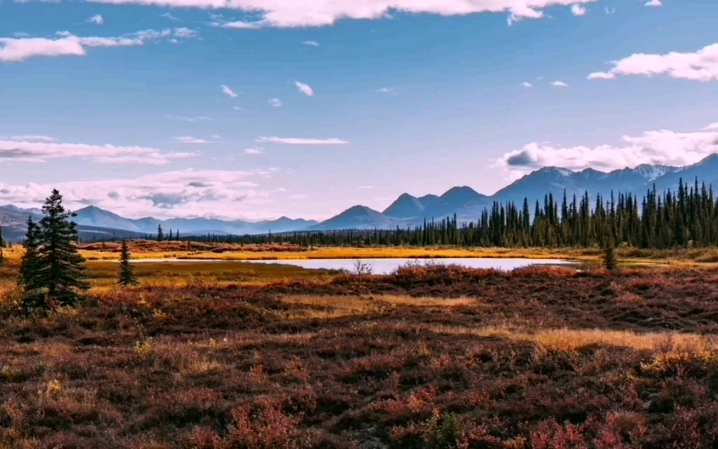 [图]31.【桃】剧烈的节奏，原野美图配乐欣赏