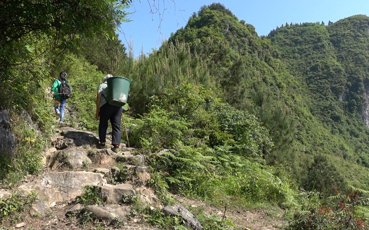 [图]农村比凉山还穷的地方，赶场要翻几座大山，来回就是一天