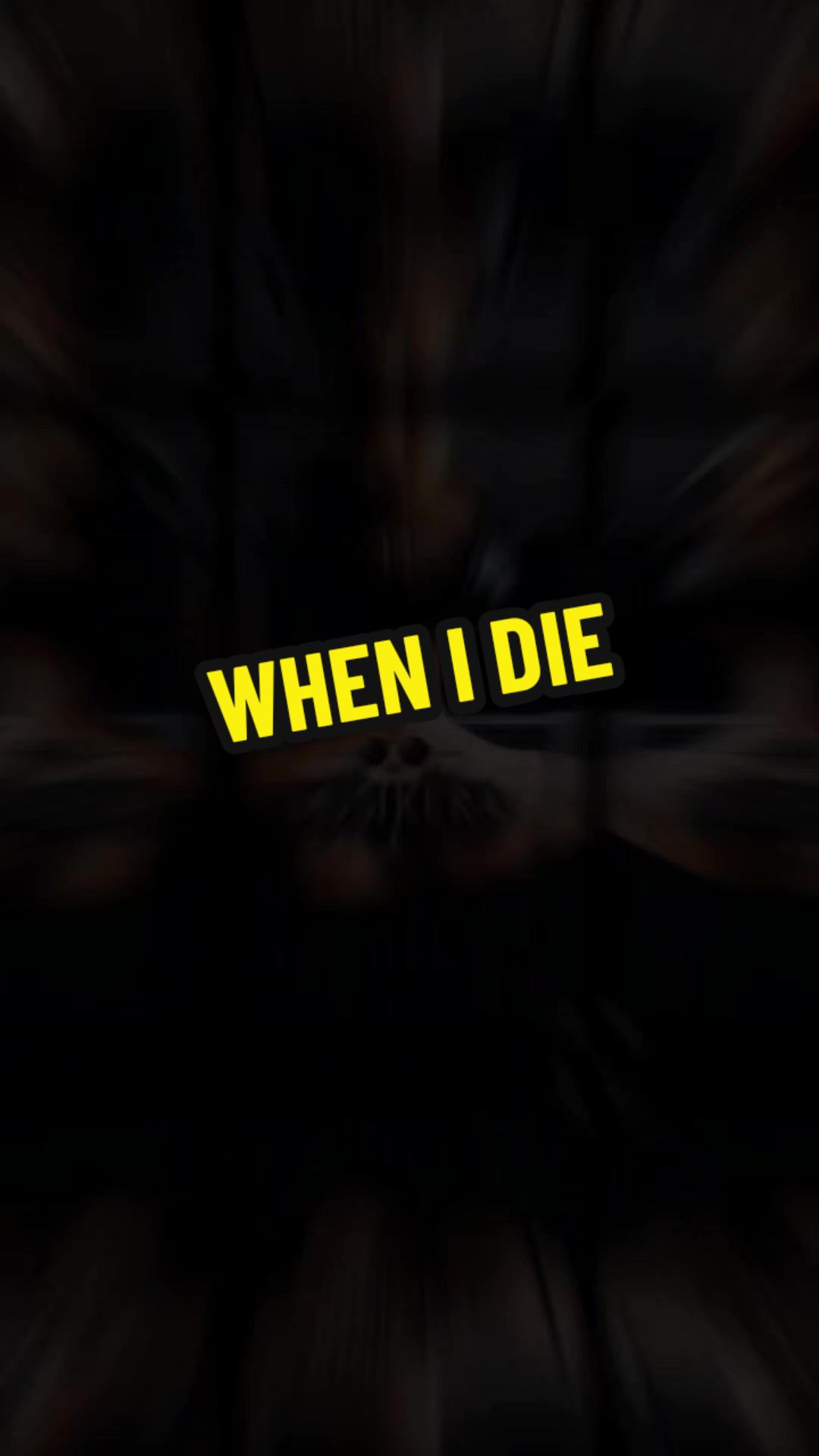 whenidie #therealmillivanilli #teammusikera #capcut