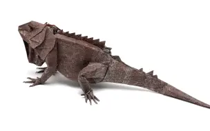 Télécharger la video: 鬣蜥蜴折纸part5 Origami Iguana (Ikuno Riku) part 5