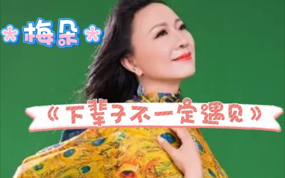 [图]梅朵的好听歌曲《下辈子不一定遇见》