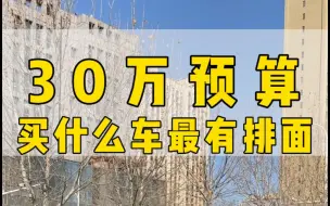 下载视频: 大哥30万预算，想换个有排面的车，顺道再找个媳妇！