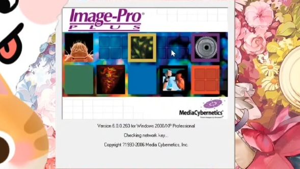 ImagePro plus6.0测量HE染色脂肪切片脂滴面积哔哩哔哩bilibili