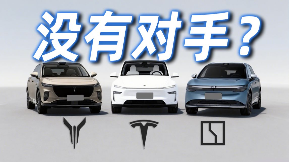 国产VS特斯拉！华为ADS行不行？20万级纯电SUV全面深度体验