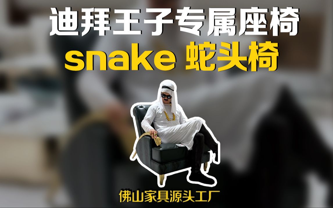 迪拜王子专属座椅,snake蛇头椅哔哩哔哩bilibili