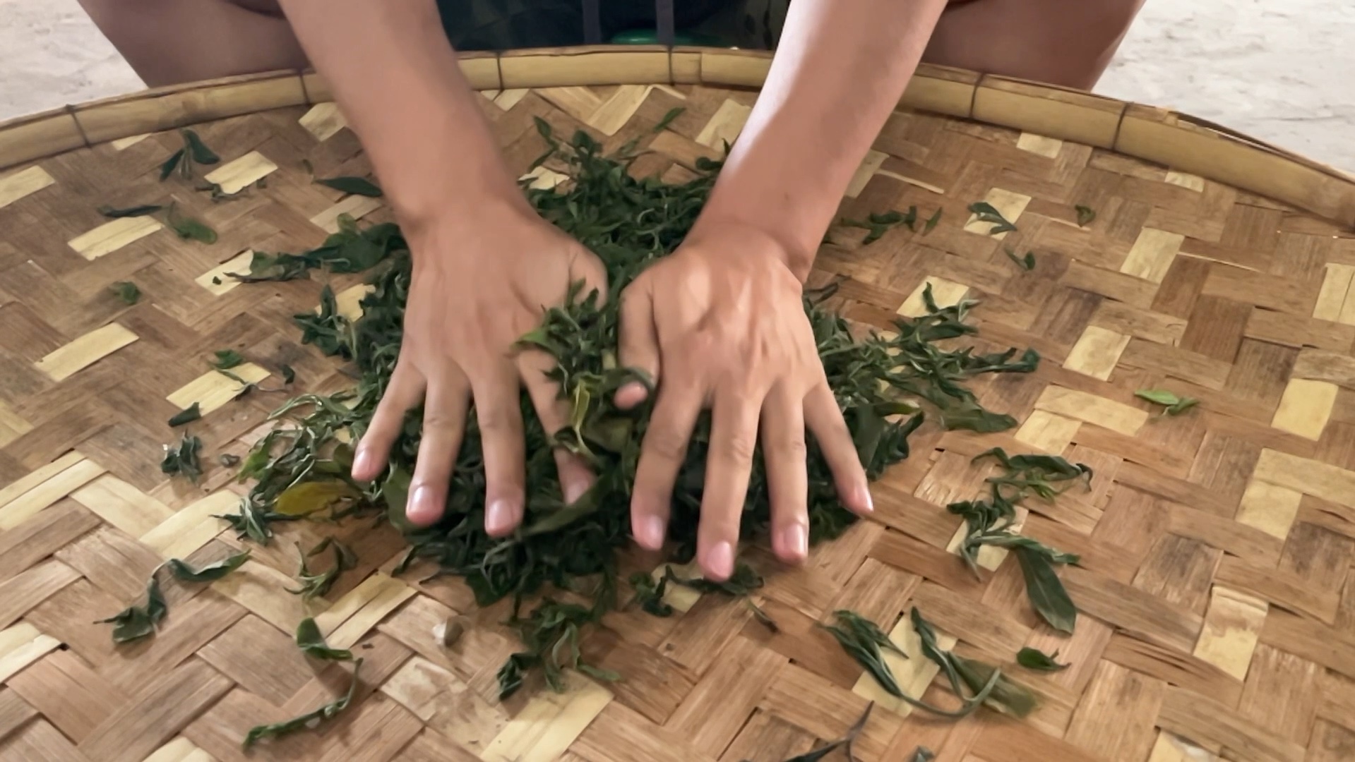 手工揉捻:前后揉