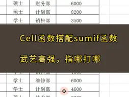 Скачать видео: cell函数搭配sumif函数，武艺高强，指哪打哪