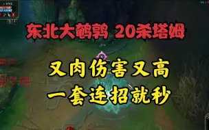 下载视频: 大鹌鹑：20杀塔姆！又肉伤害又高！一套连招就秒人，必玩的英雄！