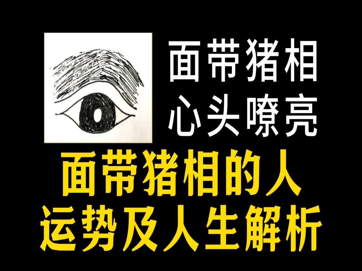 面带猪相,心头嘹亮,面带猪相的人,运势及人生解析哔哩哔哩bilibili