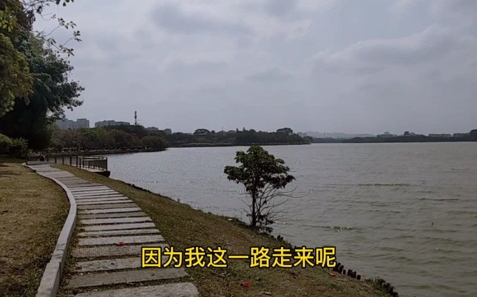 东莞八景之一的松湖烟雨,第一次来感觉松山湖好大,值的来玩哔哩哔哩bilibili