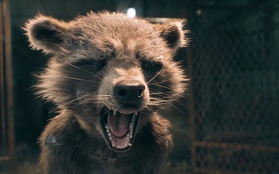 唯一嘲讽过钢铁侠智商的超级英雄!火箭浣熊 # 漫威 # 银河护卫队