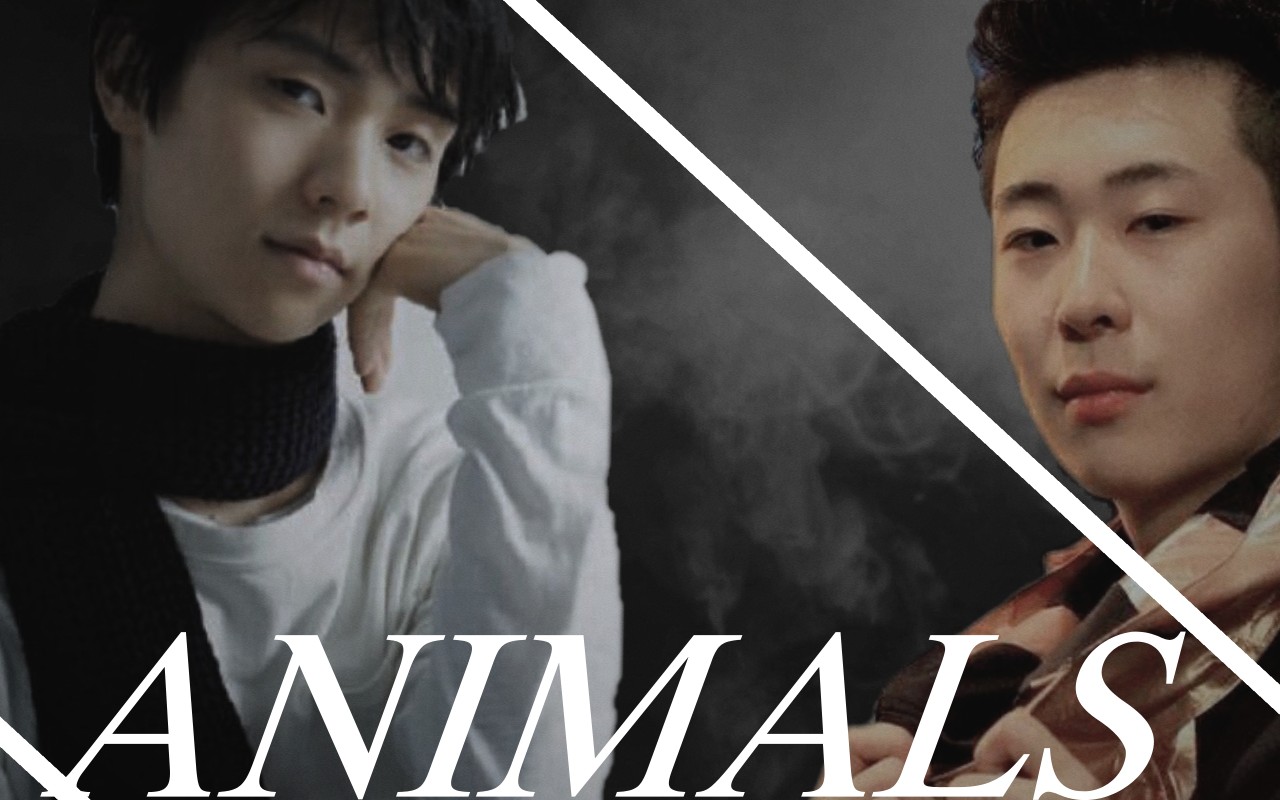 柚天animals