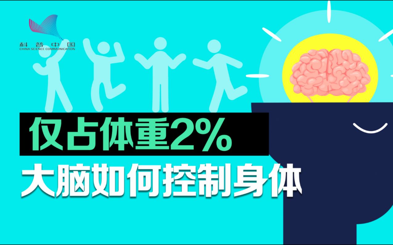 仅占体重2%的大脑,是如何控制身体的活动的?哔哩哔哩bilibili