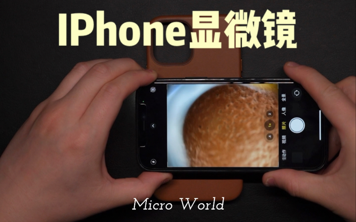 iphone12显微镜来了