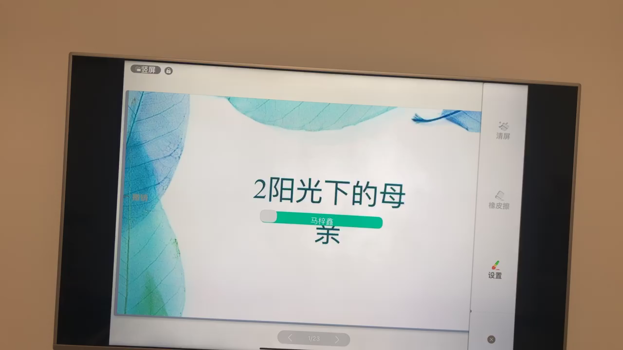 七下语文阅读阳光下的母亲No.4哔哩哔哩bilibili