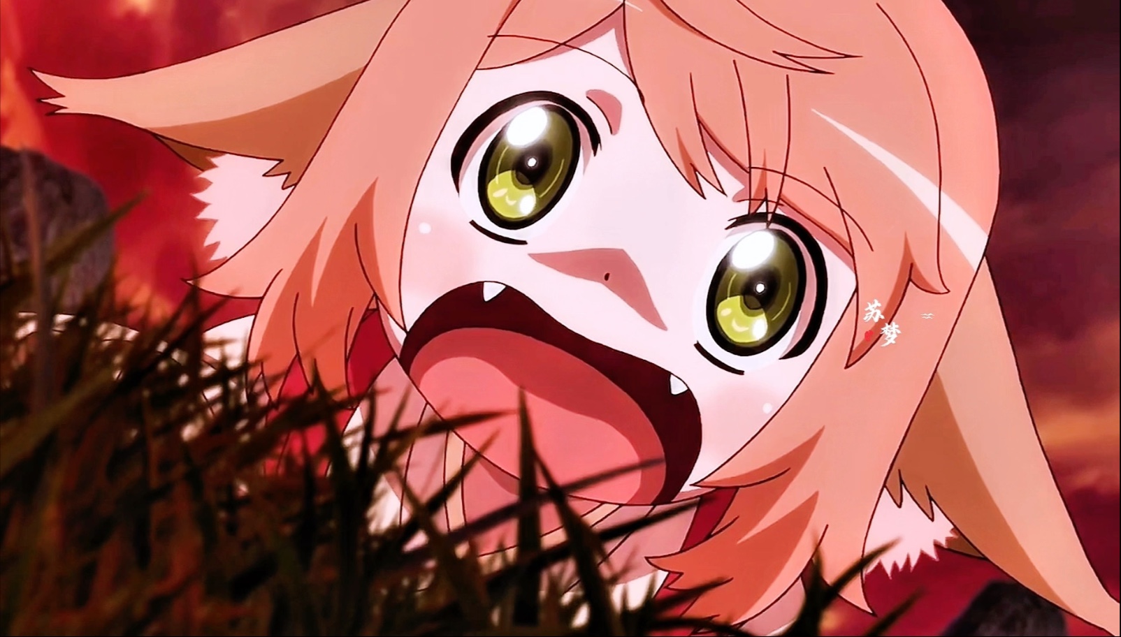 白月初涂山苏苏