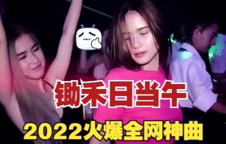 2022火爆全网上头DJ嗨曲 锄禾日当午 车载必备硬曲酒吧夜店美女蹦迪洗脑神曲哔哩哔哩bilibili