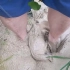 赤脚踩在厚重的泥浆中