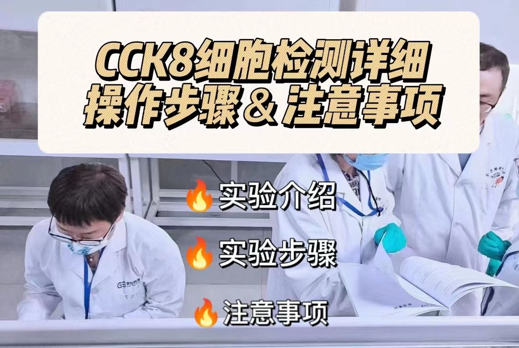 实验小白快看:cck8法细胞检测实验详细操作步骤以及注意事项哔哩哔哩bilibili