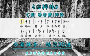 《白桦林》C调动态谱伴奏