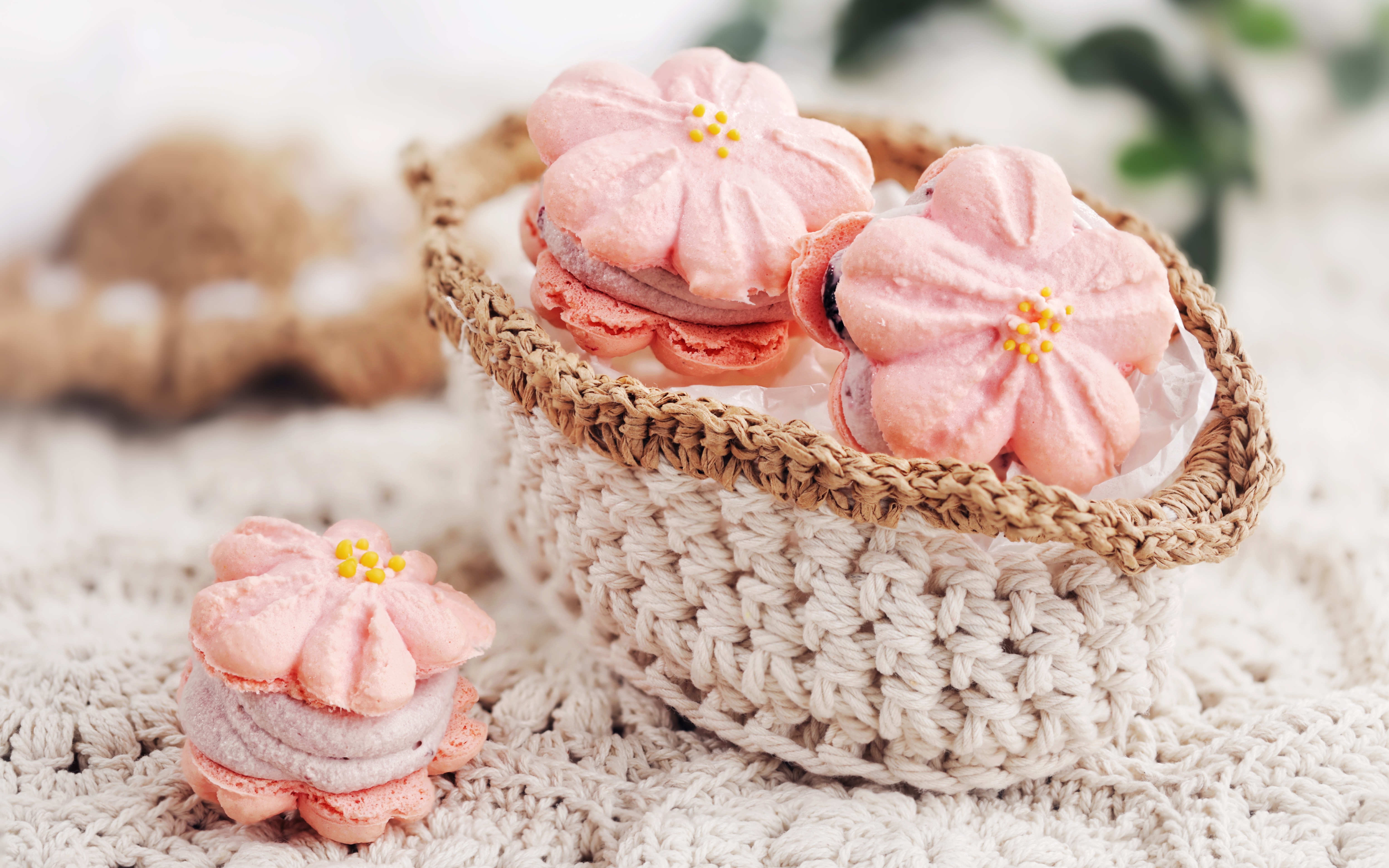 「樱花蓝莓马卡龙」樱落的秒速是五厘米,那何时能飘到掌心呢?