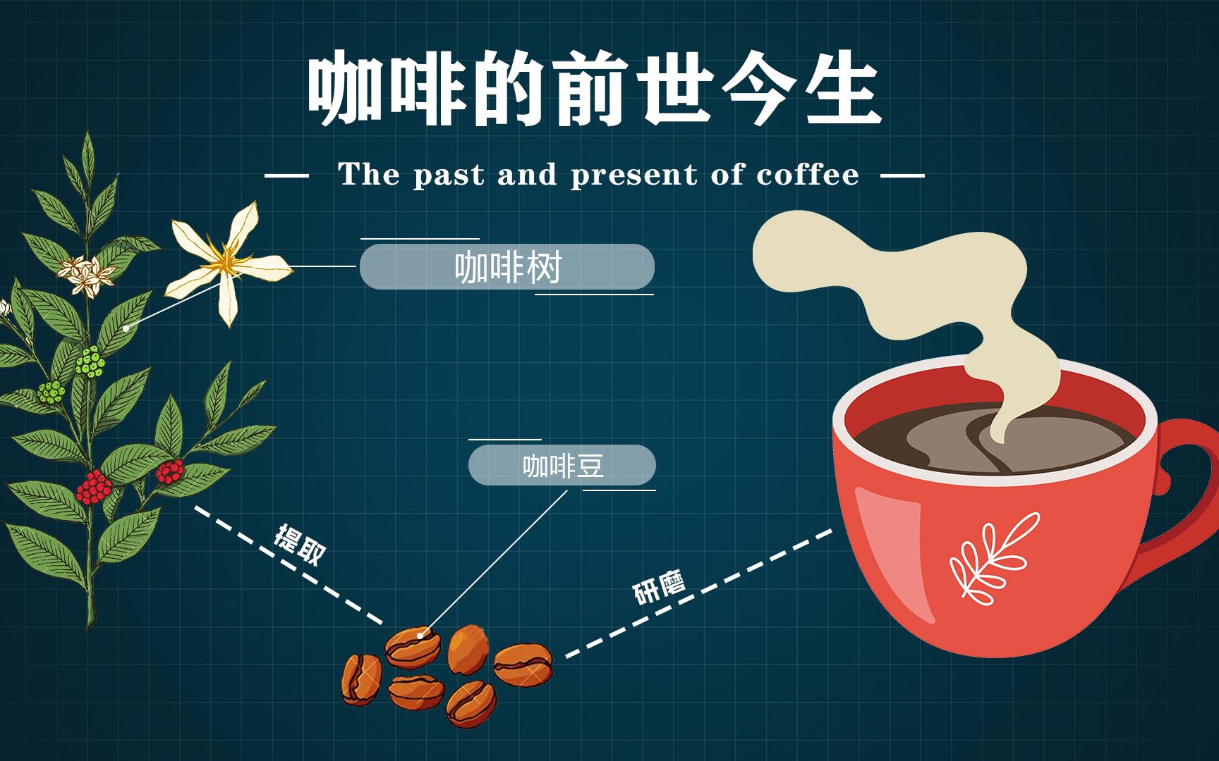 咖啡的出现完全是意外关于咖啡的前世今生
