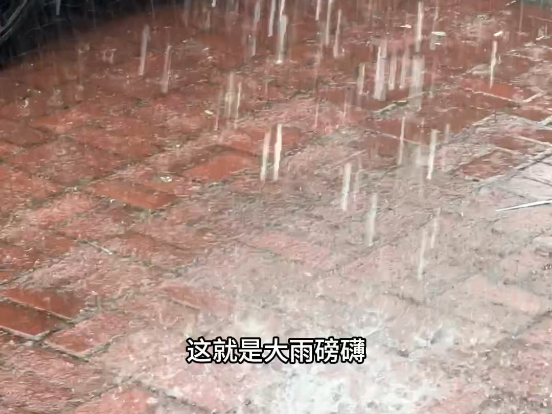 鹤壁的天气“大雨滂沱”哔哩哔哩bilibili