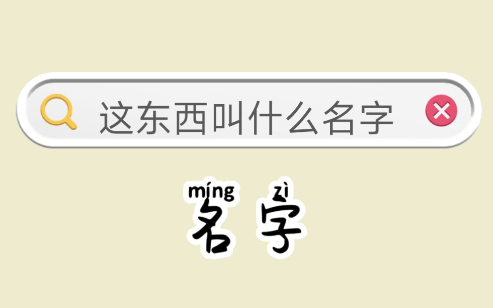 这些生活中常见的东西你知道他们的名字吗?哔哩哔哩bilibili