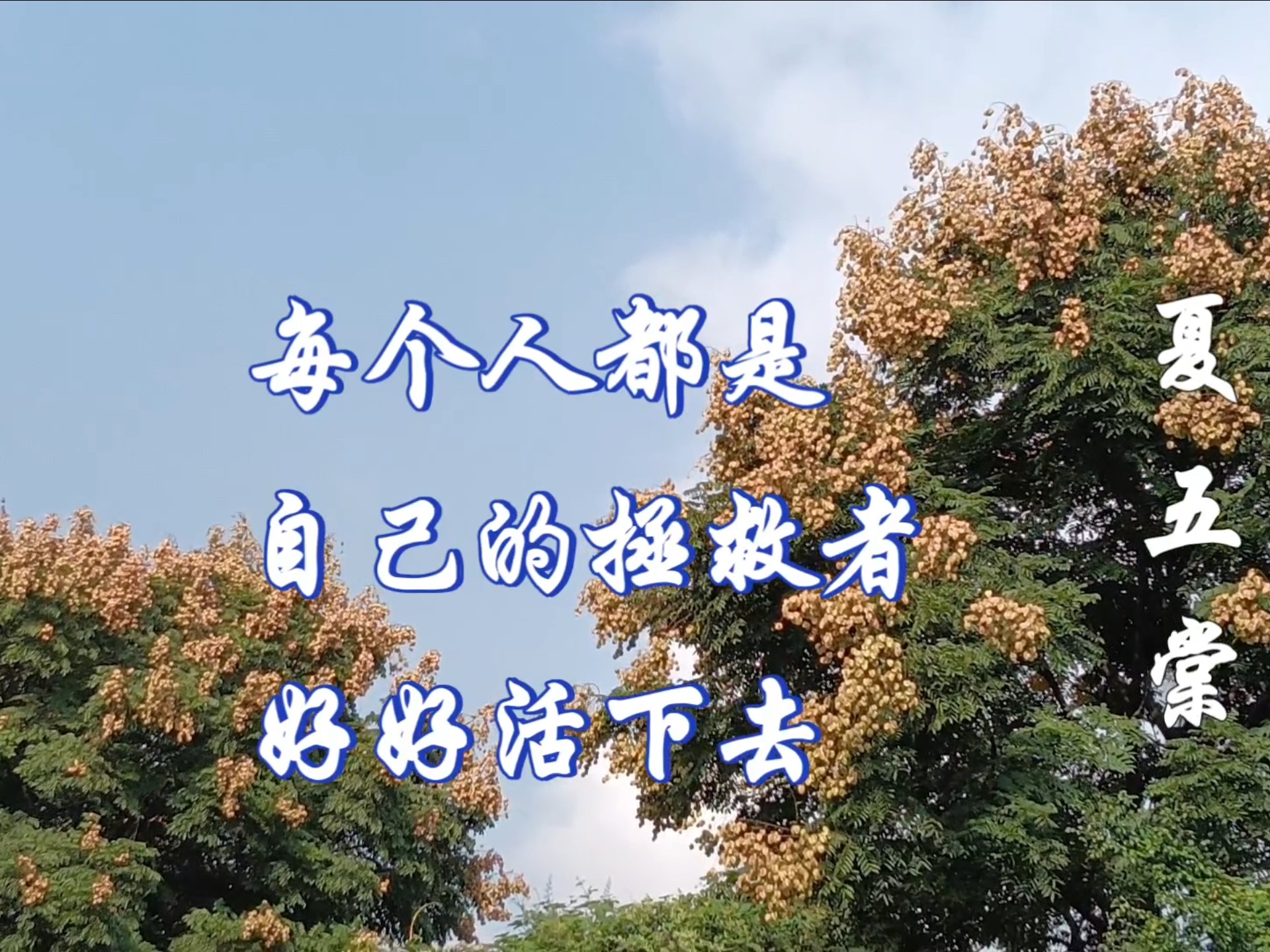 每个人都是自己的拯救者,好好活下去,期待明年春暖花开