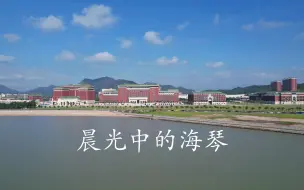 下载视频: 晨光中的海琴