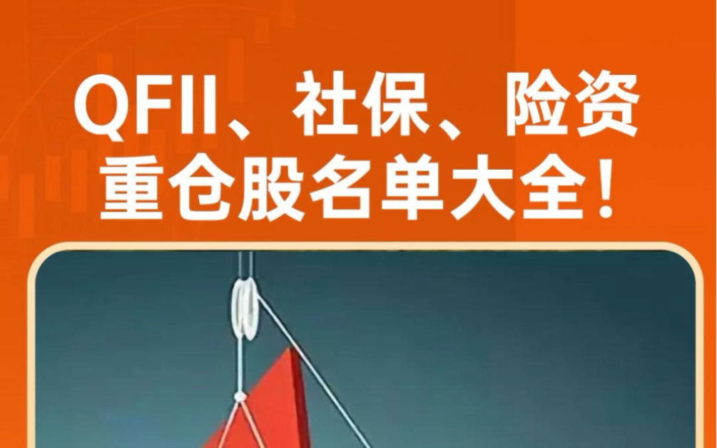 QFII、社保、险资重仓股名单哔哩哔哩bilibili