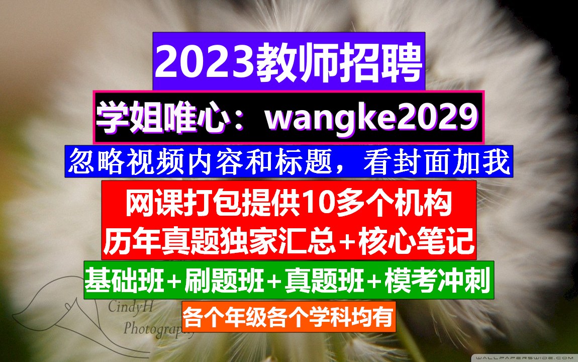 教师招聘初高中物理,教师招聘广告模板图片,教师招聘培训哔哩哔哩bilibili