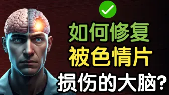 如何科学修复，你被色情片损伤的大脑？