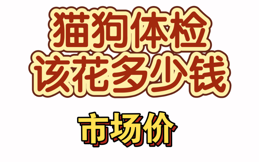 犬猫各项体检费用【市场价】哔哩哔哩bilibili