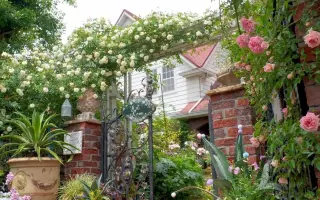 深谷市 搜索结果 哔哩哔哩 Bilibili