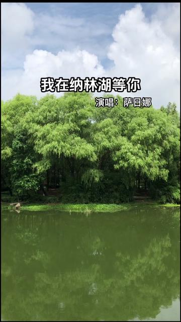 我在纳林湖等你
